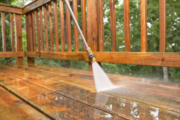 Best Garage Pressure Washing  in Conehatta, MS